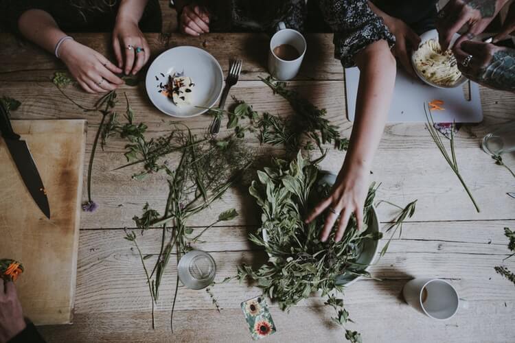 ONIRÓGENOS: Plantas Que Generan Sueños Lúcidos