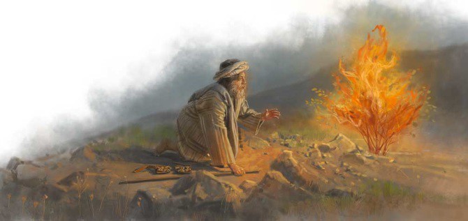 El Moisés de la Biblia Estuvo bajo el DMT !!! dice un profesor Hebreo.