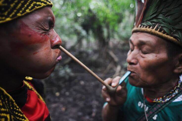 Qué es Rapé y su Uso Ancestral
