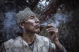 El tabaco es la “medicina rey”, también contra el Covid